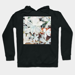 Succulent Falls Hoodie